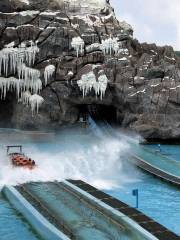 Arctic Roller Coaster