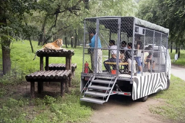 【親子遊】北京、上海親子自由行