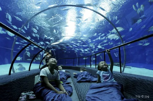 【親子遊】北京、上海親子自由行