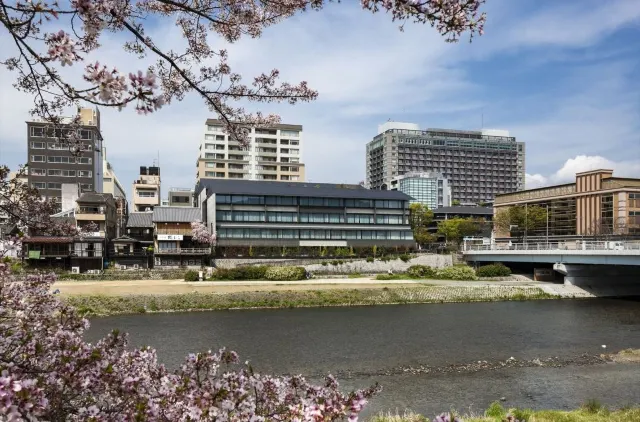 2020日本櫻花開花預測及飯店住宿推薦