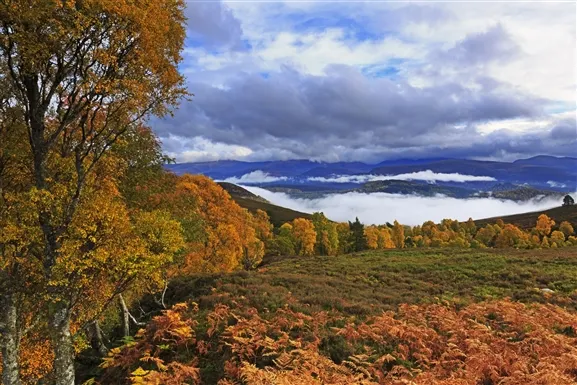 Visit Cairngorms National Park by train