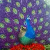 Avatar 1