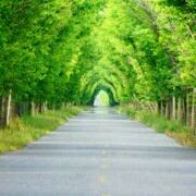 Adabing 深圳鹽田凱悅飯店優惠