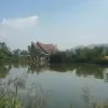 Avatar 1