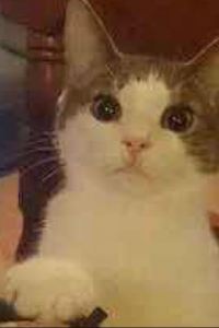 Miaosiye📸 宜尚飯店（長沙世界之窗廣電會展中心店）優惠