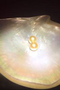 Dinh417 麗思漫•歸蒔供氧民宿（香格里拉獨克宗古城店）優惠