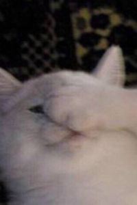 _WeChat277111**** 秋果酒店（北京朝陽門國貿三里屯店）優惠