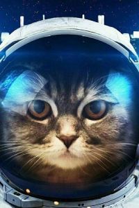 M274452**** 柏納酒店（中山坦洲商業中心店）優惠