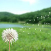 https://ak-d.tripcdn.com/images/Z8020l000000dbonh3A77.jpg