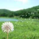 普光里深蓝