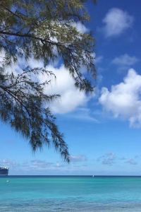 Xinxiangyuanfangjing 洛杉磯/聖加布裏埃爾希爾頓酒店優惠