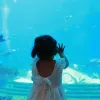 Avatar 1