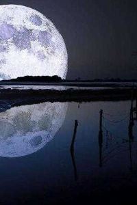 Linghuabuyujinjiangnan 過街樓客棧（麗江古城木府店）優惠