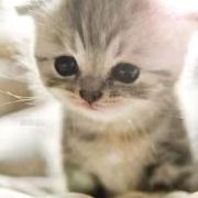 M264455**** 仁川機場世界旅館優惠