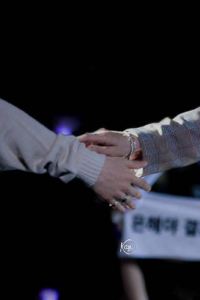 LimMs24 肇慶喜來登酒店優惠