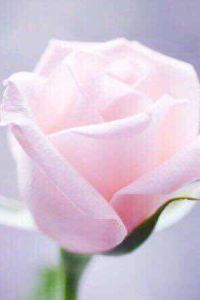 Qinluxuan 璞意隱居烏鎮精品民宿優惠