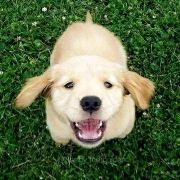 Liuxiaoxiaojun 瀘沽湖起點棧客棧優惠