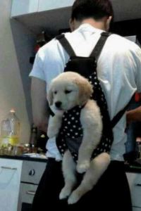 Weiertaizi 格林東方飯店（福州火車南站店）優惠