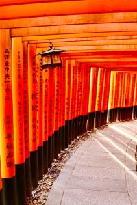 M7986**** 紐約半島酒店優惠