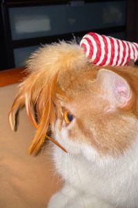 Shanbuzhuanshuizhuan 運城諾富特酒店優惠