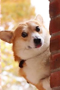 MaoqiuJune 澳門萬事發飯店優惠