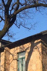 Yongwuzhijing 上海建滔諾富特飯店優惠