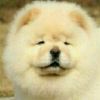 user-icon