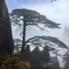 Avatar 1