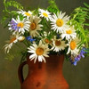 https://ak-d.tripcdn.com/images/Z8040x000000kvz9eD932.jpg