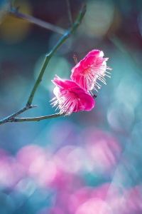 _WeChat278228**** 南通維景國際大酒店優惠