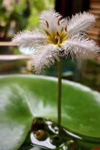 M231995**** 香港君怡酒店優惠