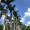 https://ak-d.tripcdn.com/images/Z8050d0000006tm1rD5C1.jpg