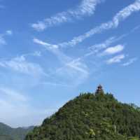 麦壳黄