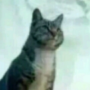 head-img