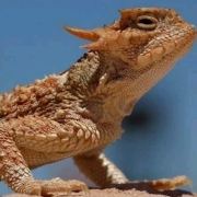 Jingyeyisi 科潤酒店公寓（深圳科技園店）優惠