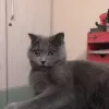 Avatar 1