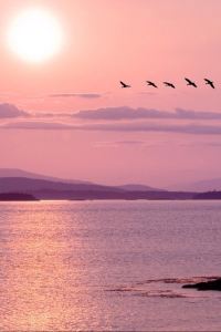 Huangye514 惠州享海國際酒店優惠