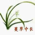 蔓草中长