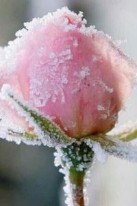 Tiffany ZOU 普吉阿卡迪亞奈松海灘鉑爾曼度假飯店優惠