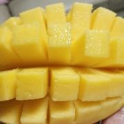 Jannay 悦酒店（珠海平沙海泉灣店）優惠