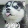 user-icon