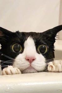 M17320**** 香港夏利飯店優惠