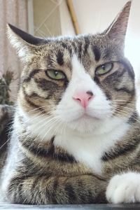 sallyinmay ファミリーロッジ旅籠屋・北九州八幡店 クーポン