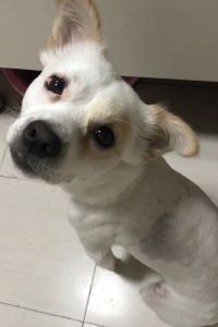 D14886**** 新濠天地-澳門頤居優惠