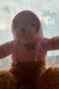 andygrs 奧蘭多環球影城度假村對面凱悦嘉軒酒店優惠