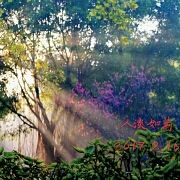 Rujiansubi 廣州珀麗酒店優惠