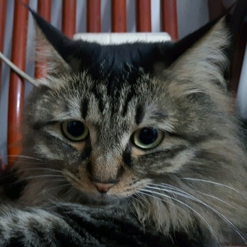 head-img