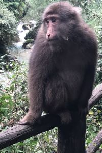 Xuanxuan1213 仁川愛特爾飯店優惠