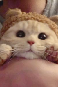 Atingzaina 宜必思酒店（天津西站南廣場店）優惠