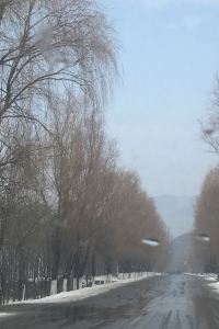 118053**** 上海虹橋綠地鉑瑞公寓優惠